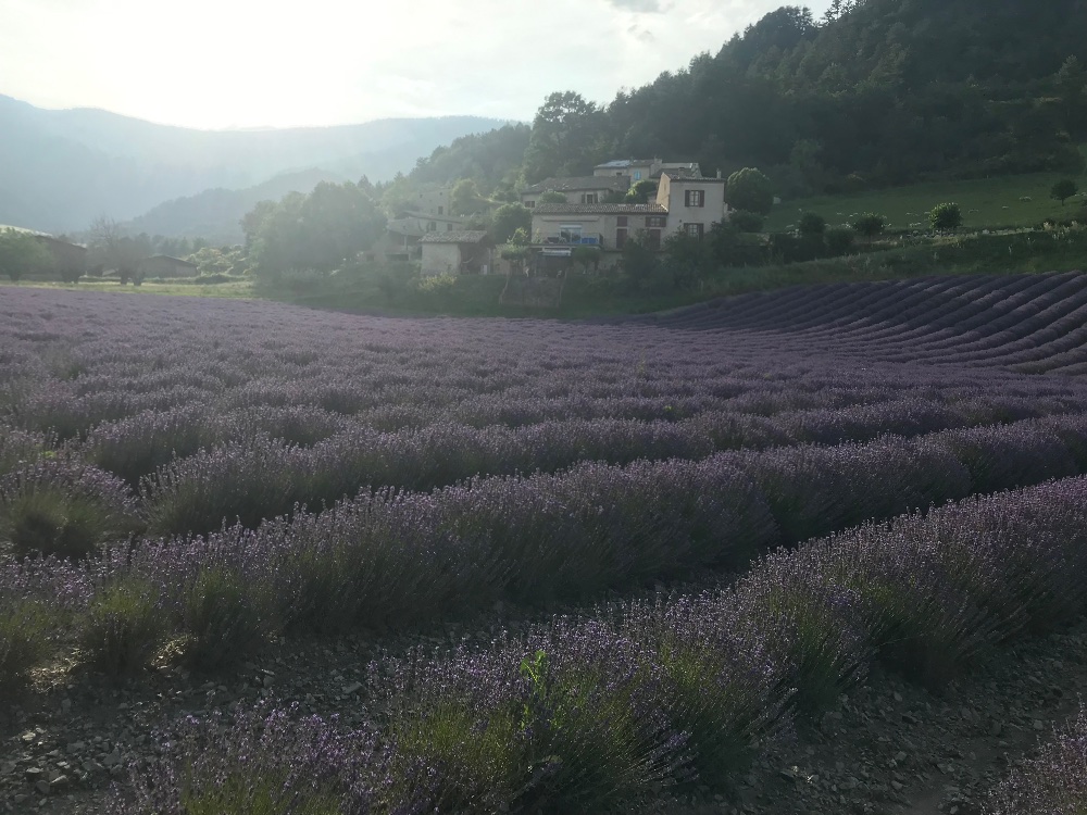 Aire camping-car  Montmaur-en-Diois (26150) - Photo 1